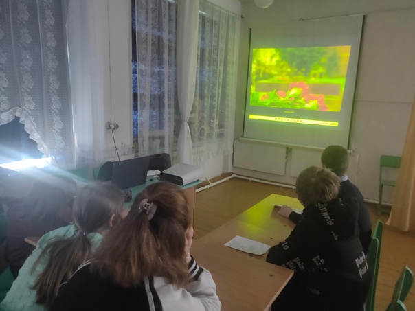 Без срока давности.