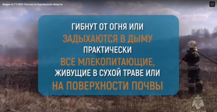 Поджигание сухой травы – серьезная угроза для окружающей среды и жизни людей.